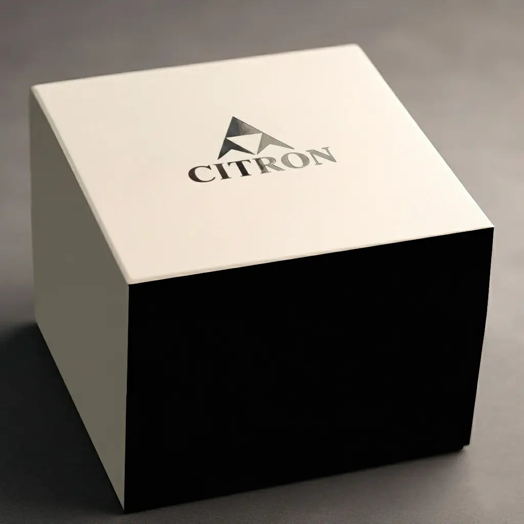 A | Citron Classic Black & Silver Dial Watch WITH FREE BOX